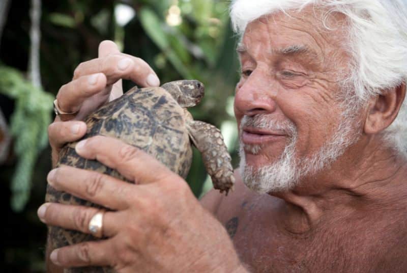 Do Tortoises Bond with People